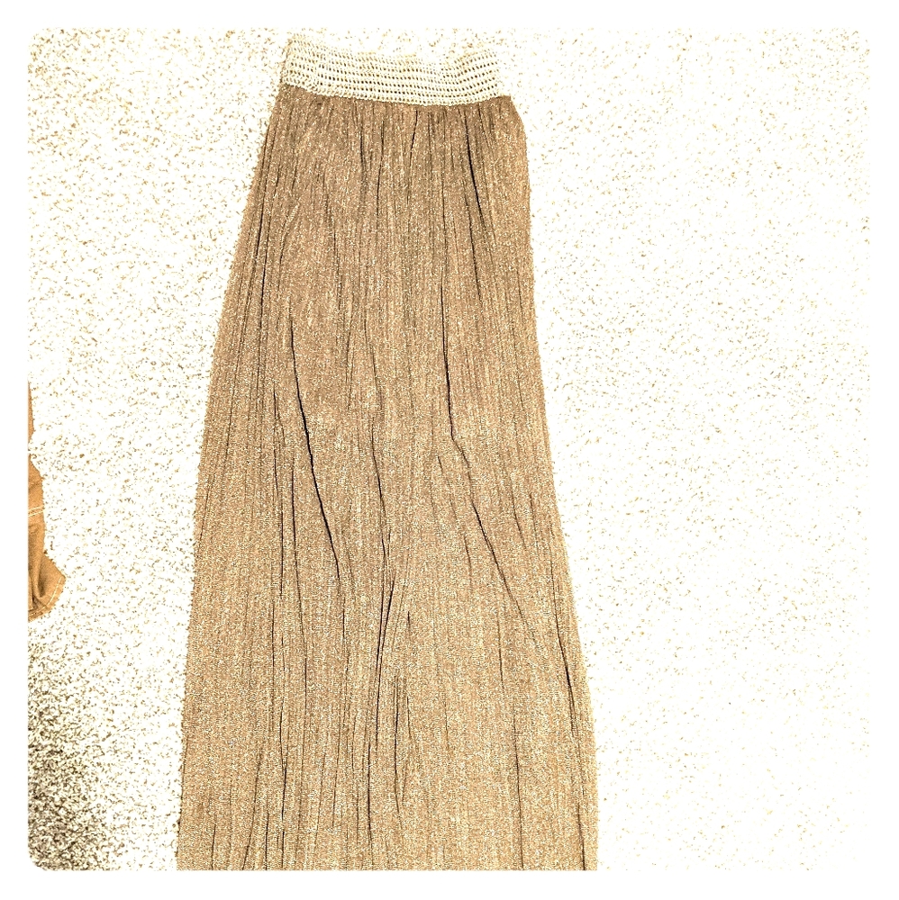 Sheer gold maxi skirt
